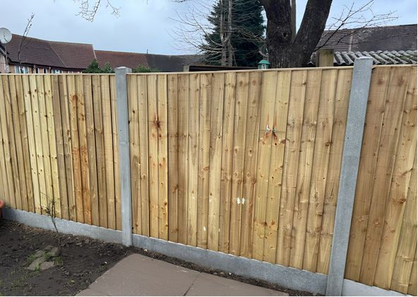 New feather-edge fence with concrete posts