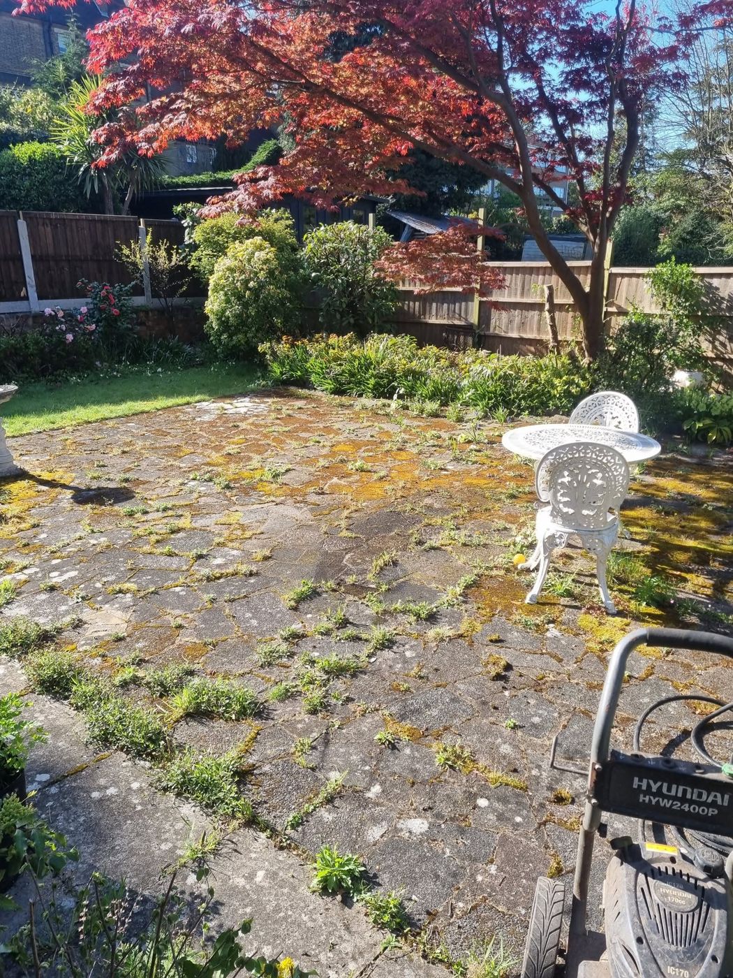 Mossy, overgrown patio before cleaning
